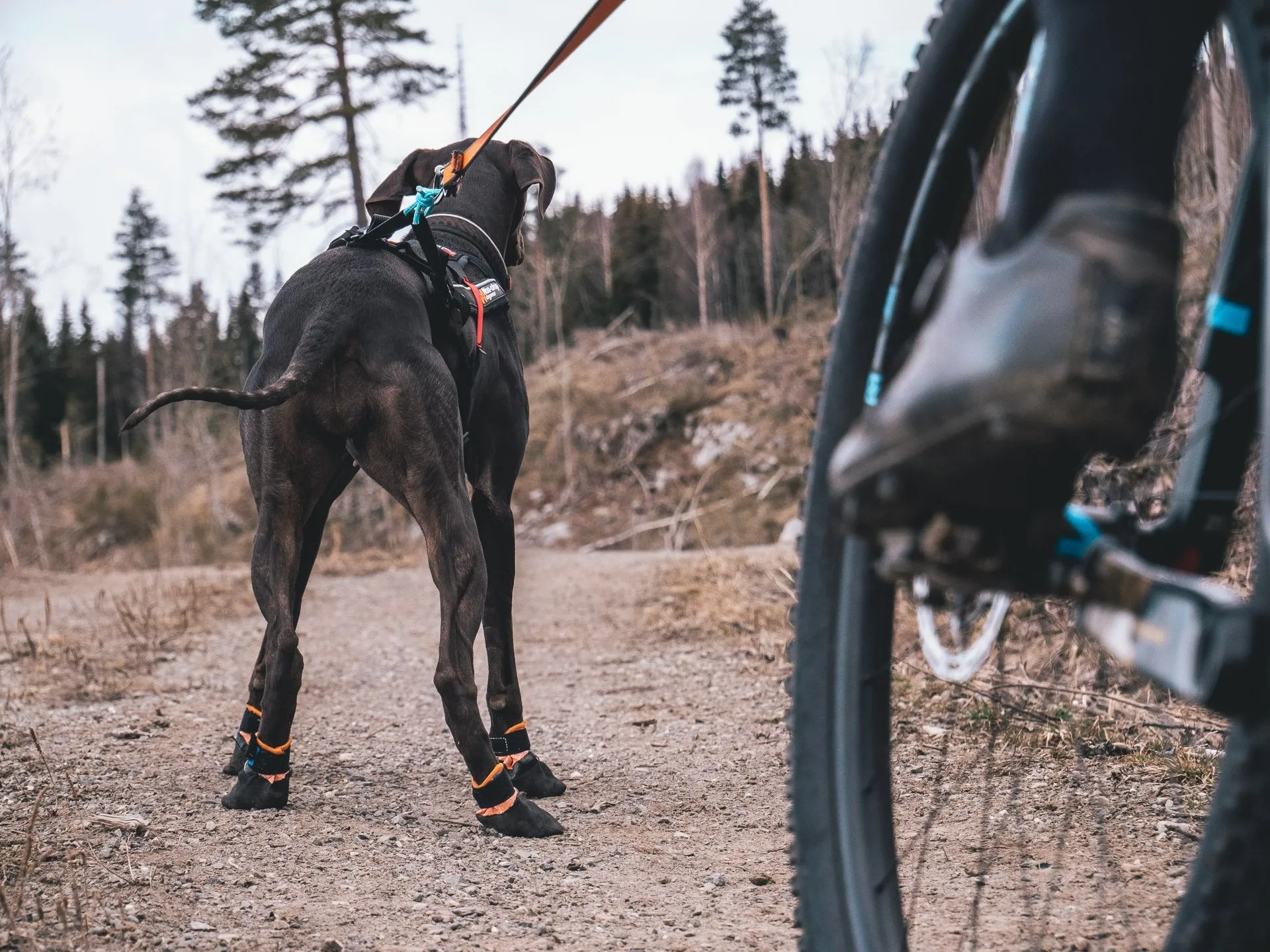 Non-stop - Protector Booties (4 Pack)